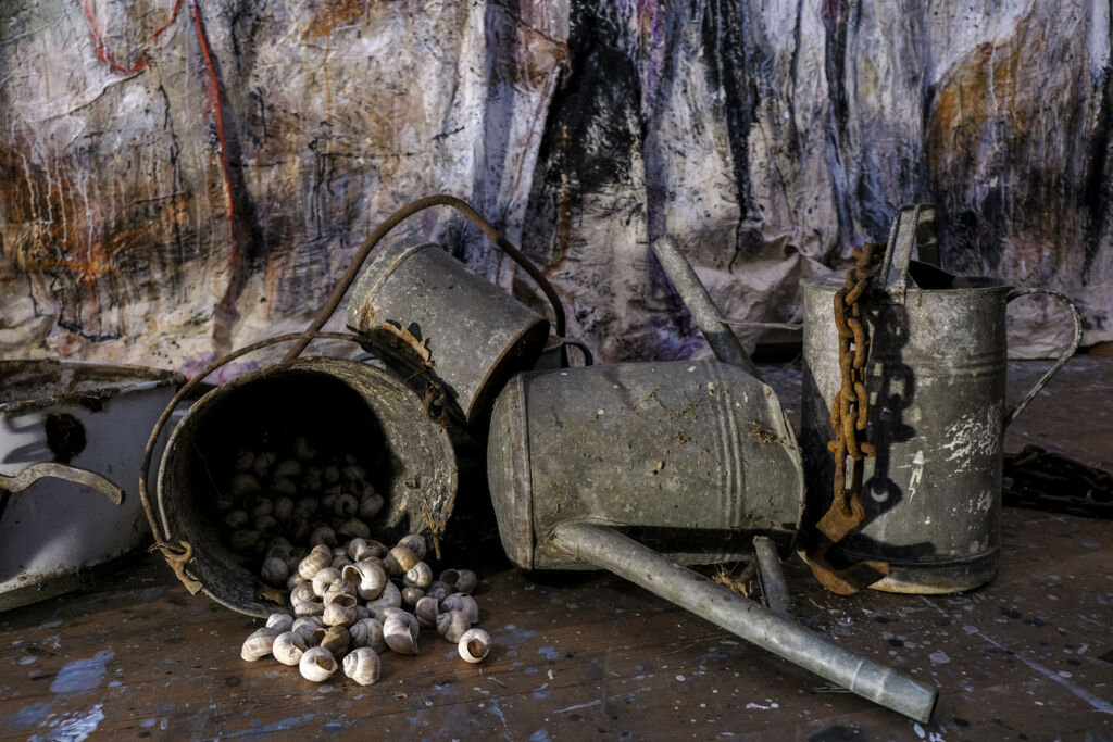 Irgendwo hier muss ich gelebt haben