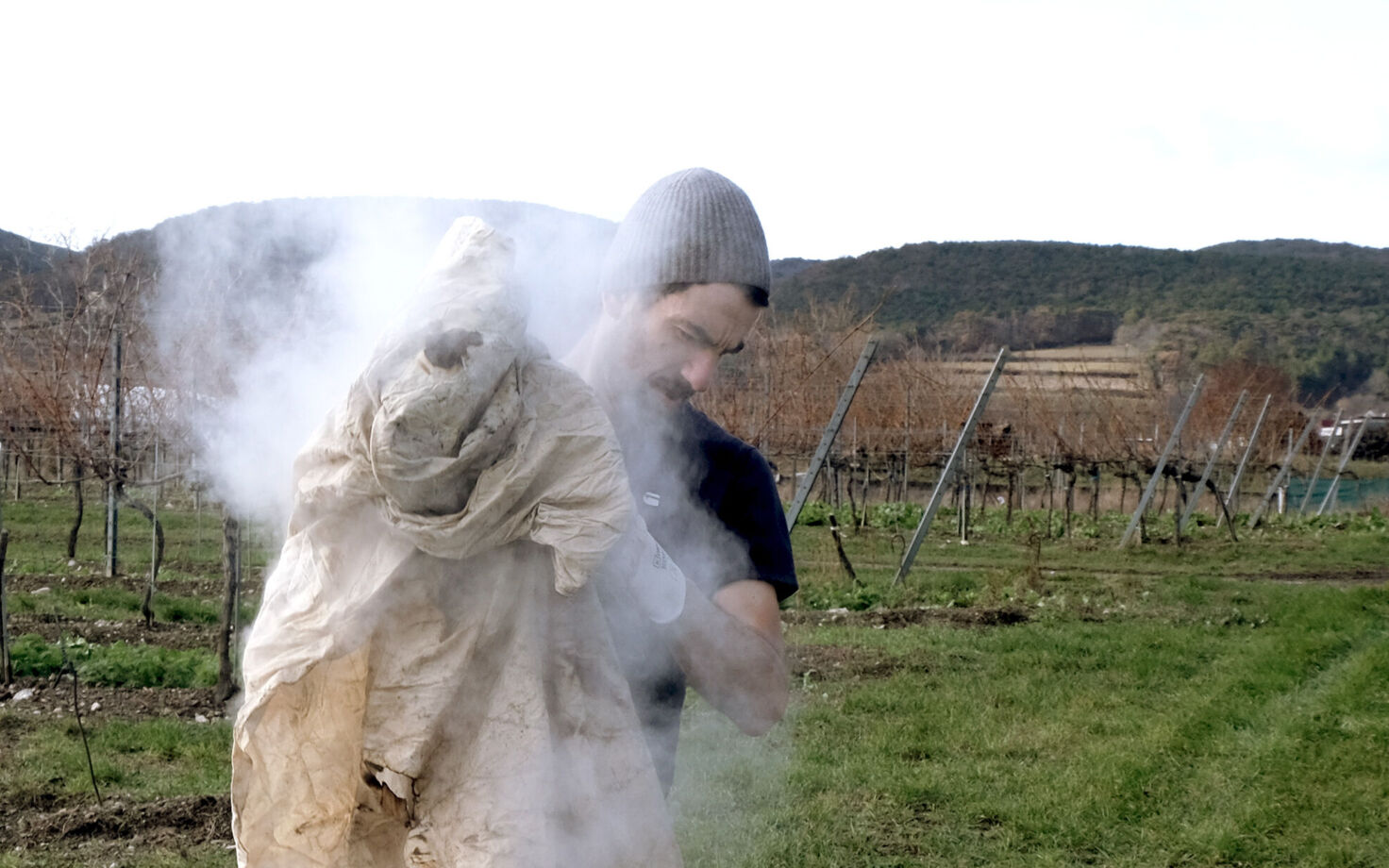 Fastentuch, Michaelerkirche