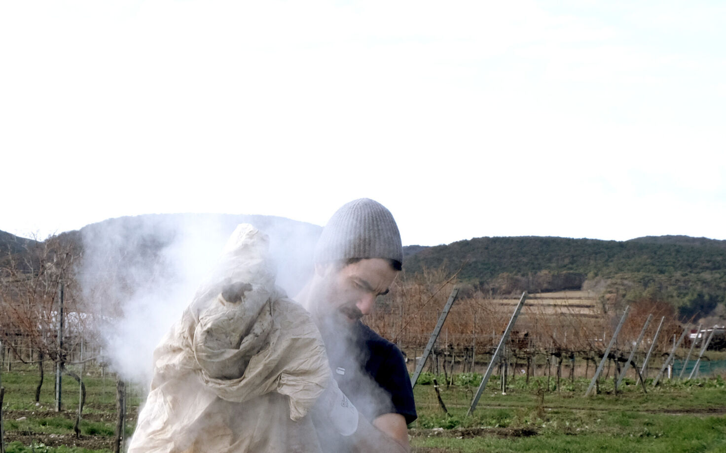 Fastentuch, Michaelerkirche