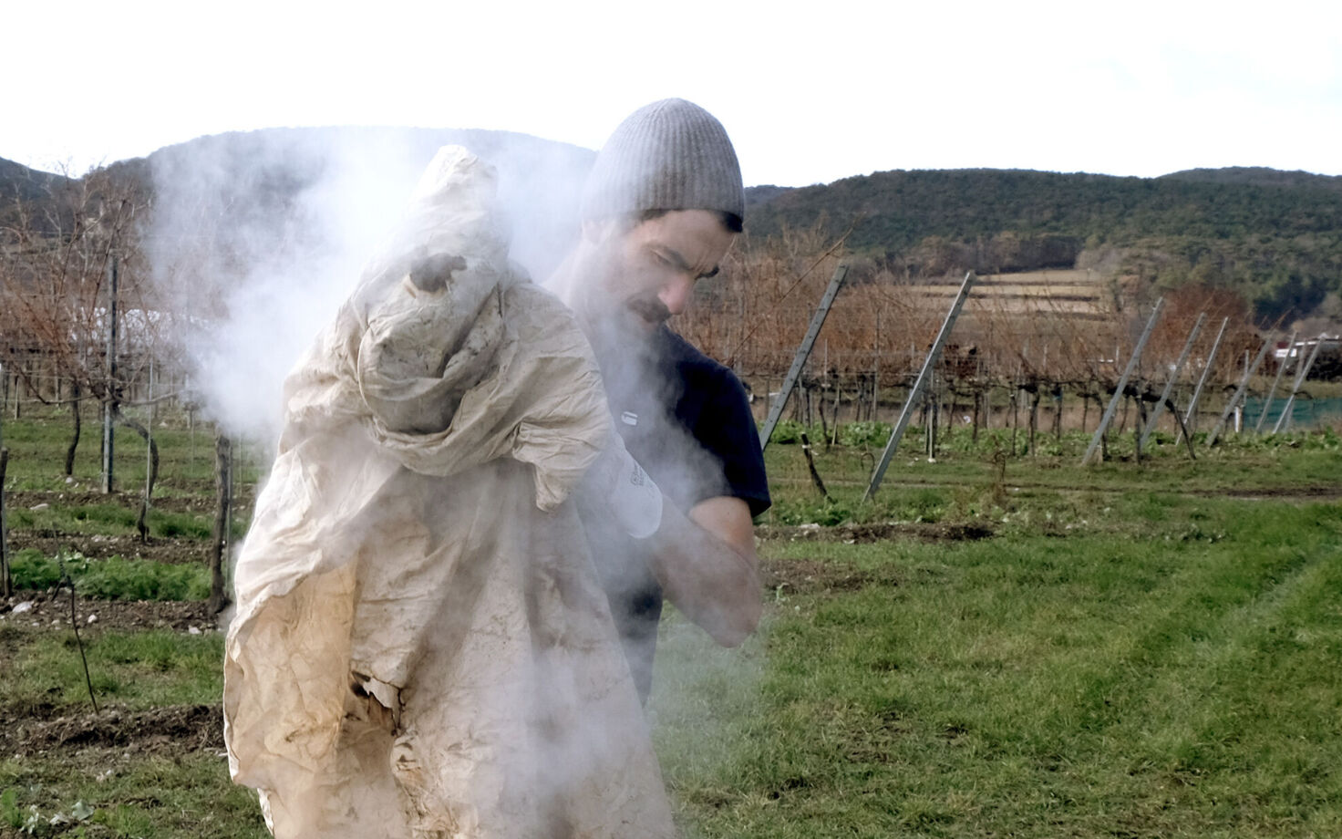 Fastentuch, Michaelerkirche